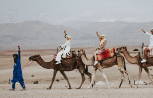 why-visit-marrakech-in-spring