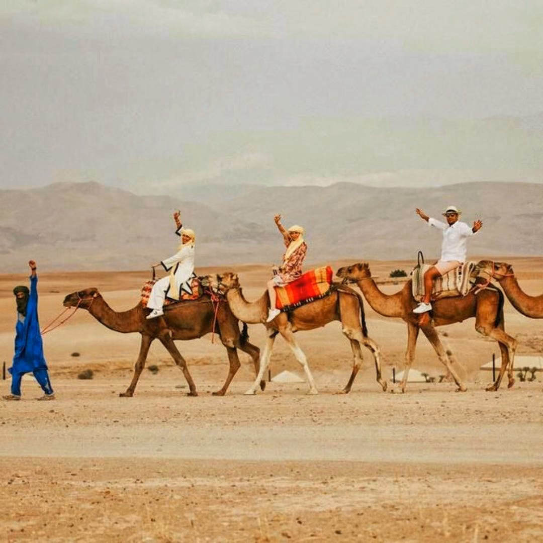 Camel ride Agafay desert Marrakech